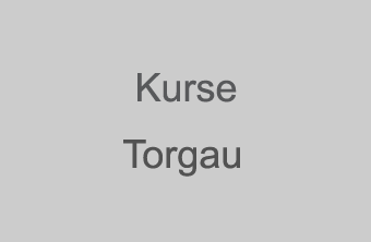 Kurse WingTsun Schule Torgau